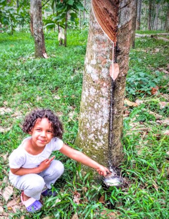26082016-Bukit Lawang Eya demo