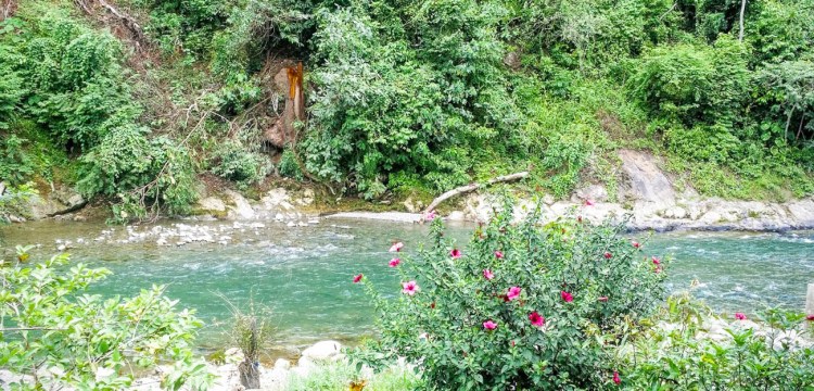 26082016-Bukit Lawang lac