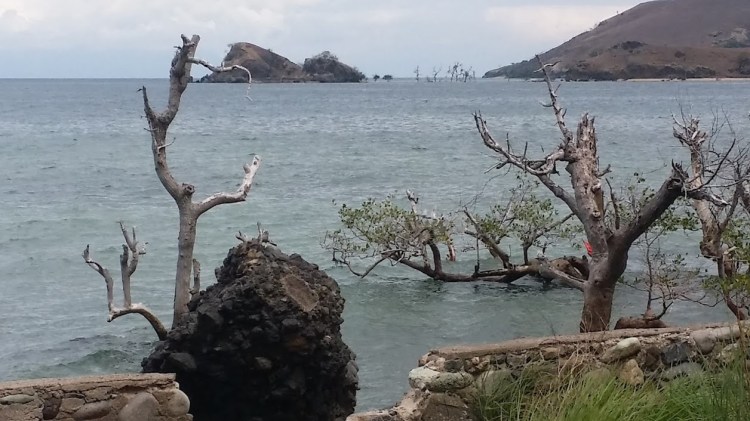 Maumere_route pour tanjung