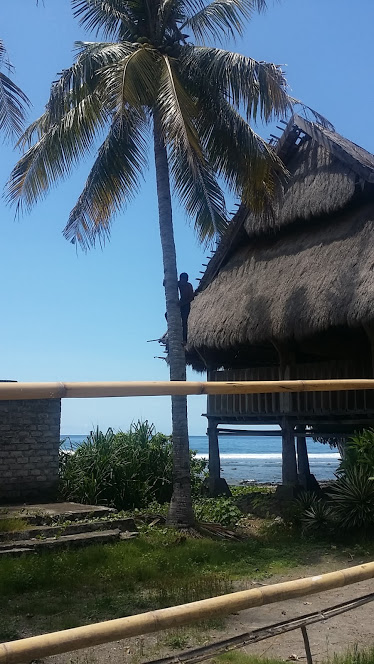 Sikka_village grimpeur