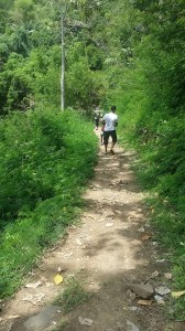 Moni_chemin vers cascade