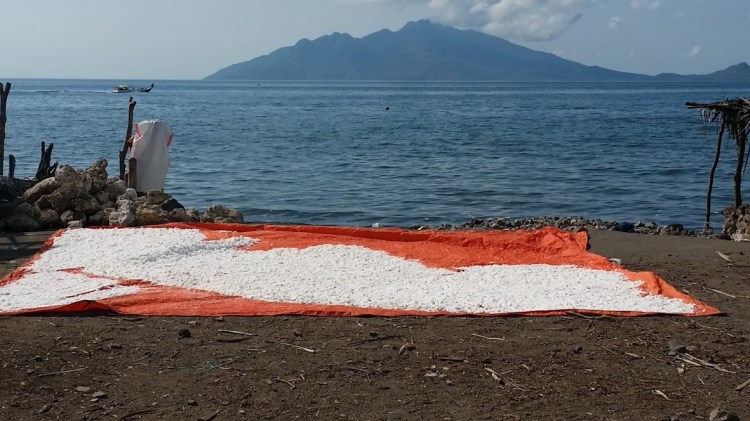 Naga hale_production sel paysage