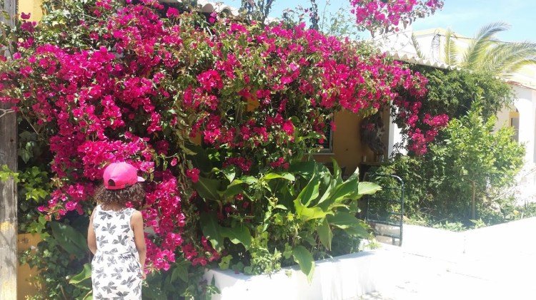 Culatra maison de pecheur 1