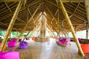 Bukit Lawang ecolodge detente