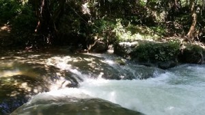 Green Valley_Paysage 2