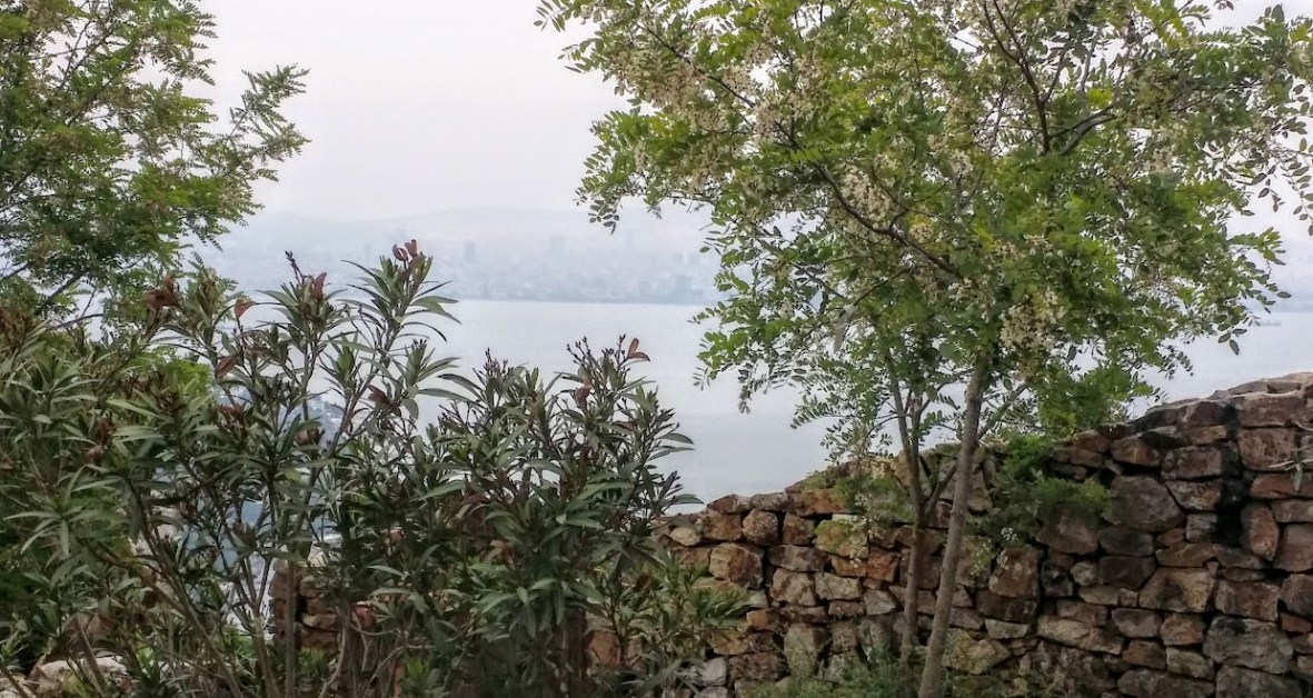 L ile aux princes VUE