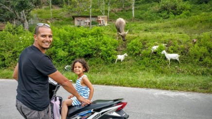 Lac Toba crevaison 2