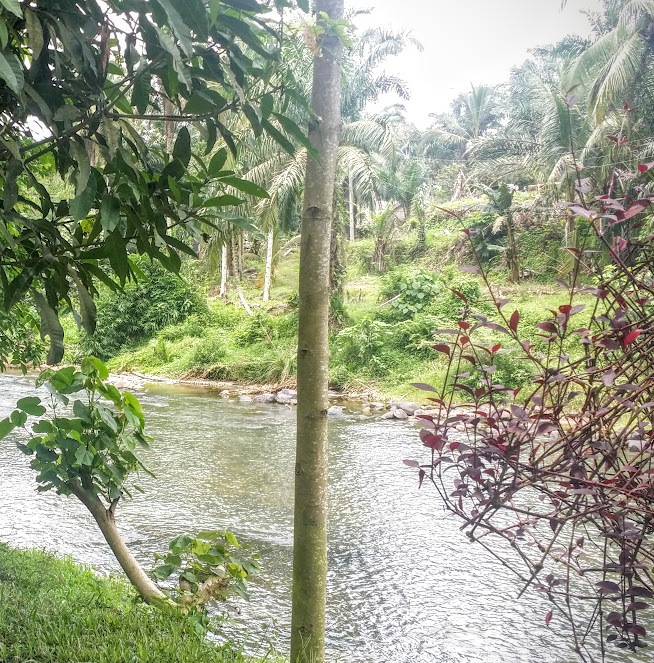 Medan stop pour bukit lawang