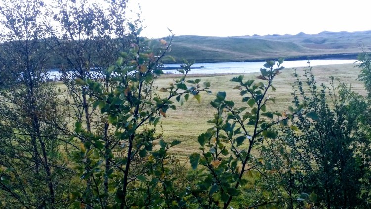 kirkjubaejklaustur-1