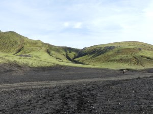 landmannalaugar-paysage