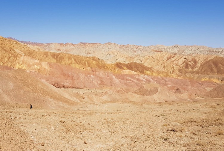 Kerman mountain colored 2