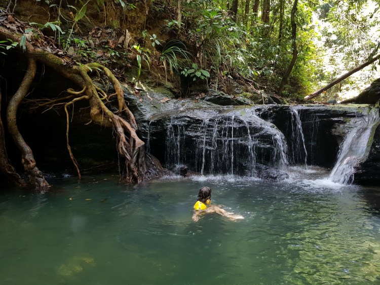 piscine naturelle.jpg